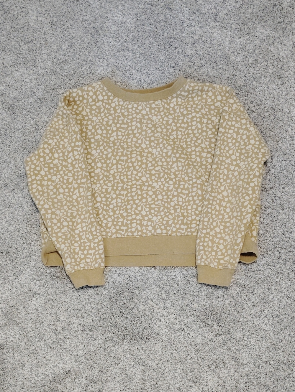 Rylee + Cru Cream and Tan Spotted Crew Sweatshirt